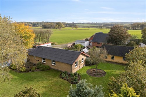 estate