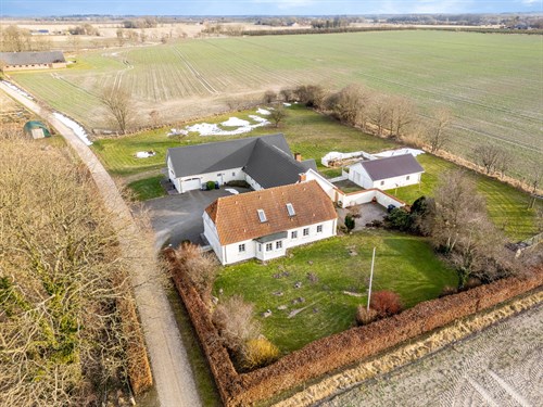 estate