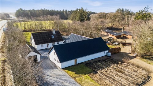 estate