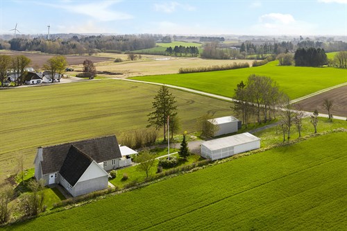 estate