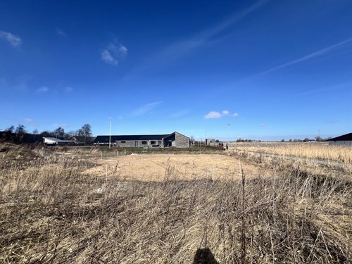 estate