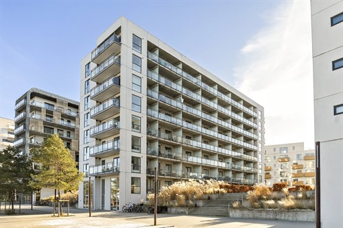 estate