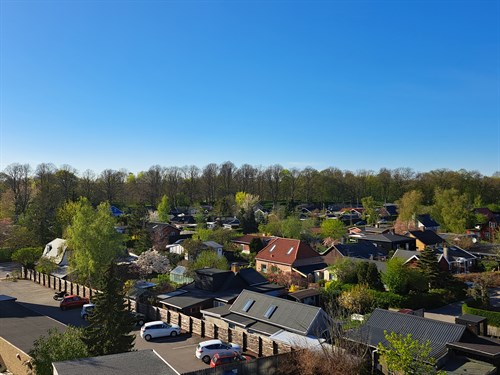 estate