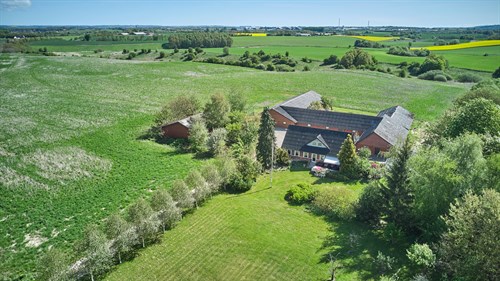 estate