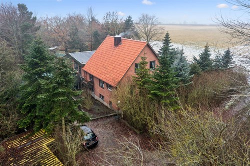 estate