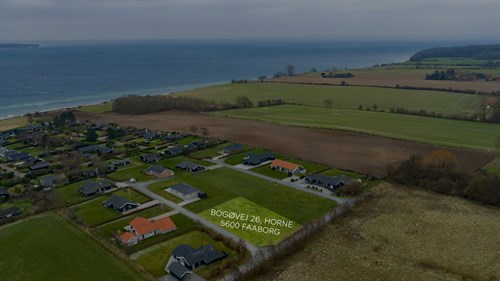 estate