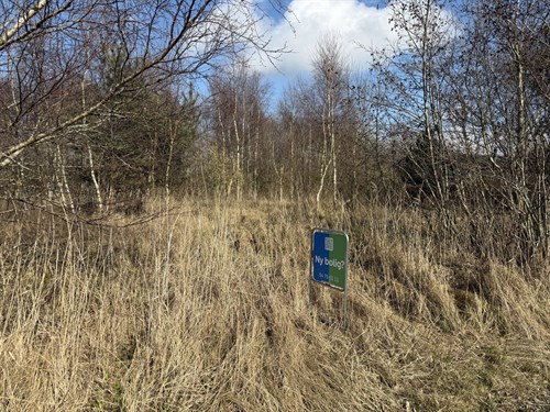 estate