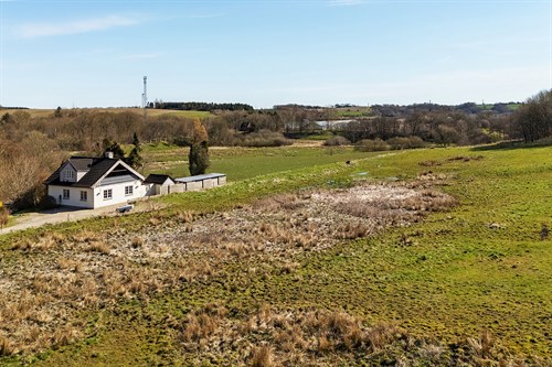 estate