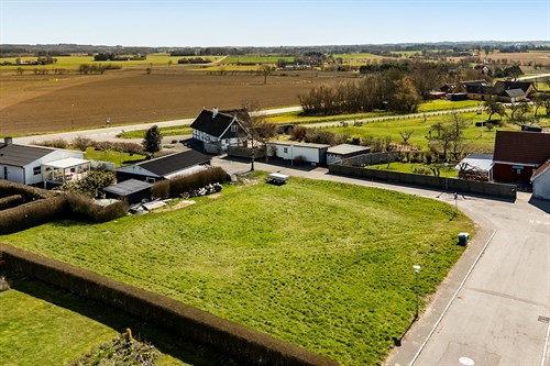 estate