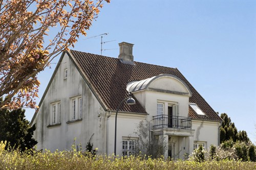 estate