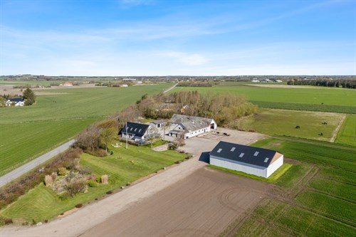 estate