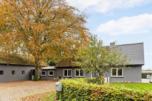 estate