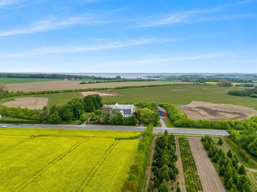 estate
