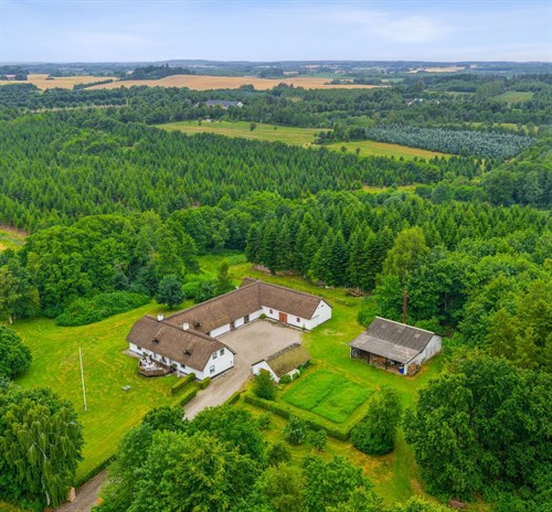 estate