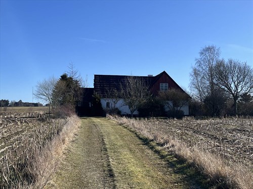 estate