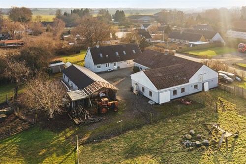 estate