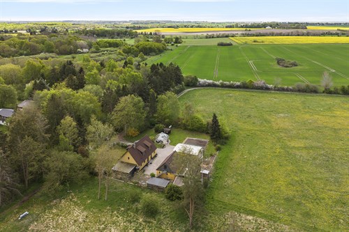 estate