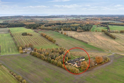 estate