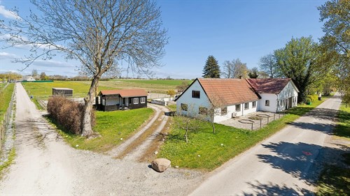 estate