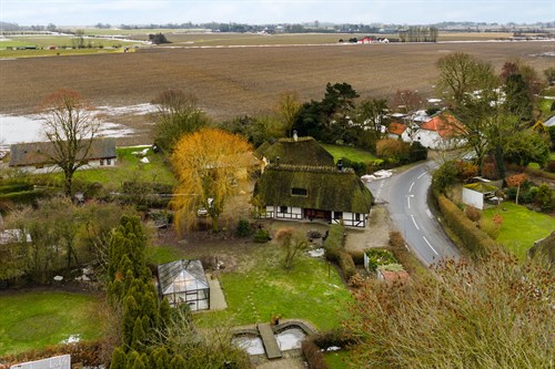 estate