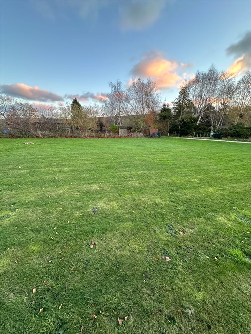 estate