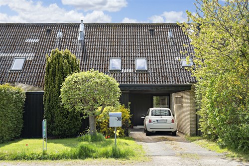 estate
