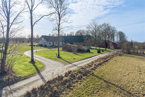 estate