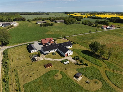 estate