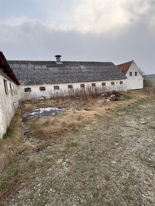estate