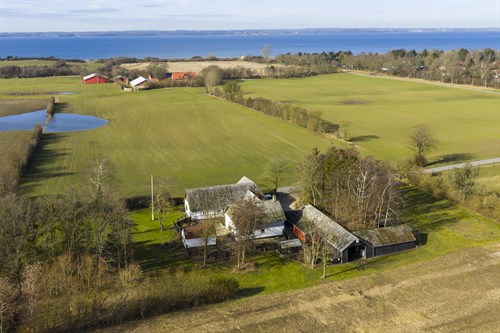 estate