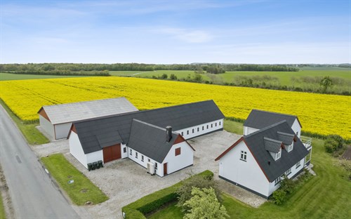 estate