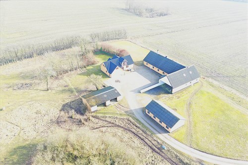 estate