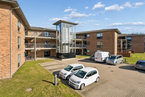 estate