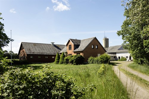 estate