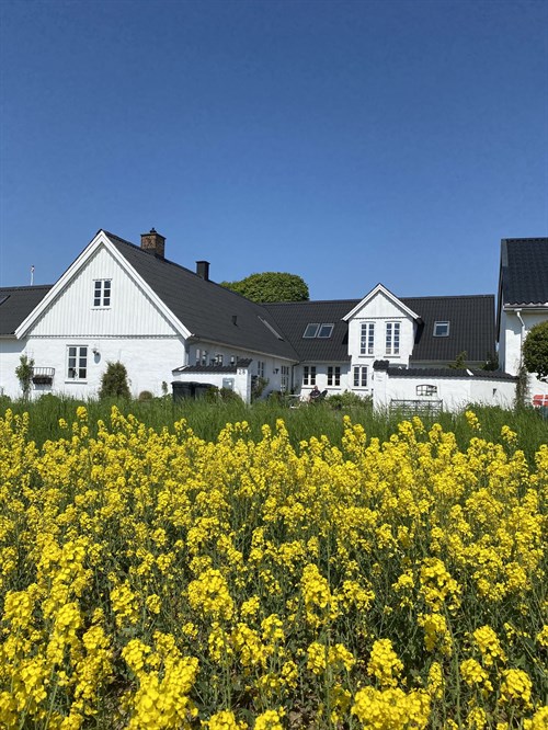 estate