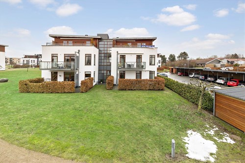 estate