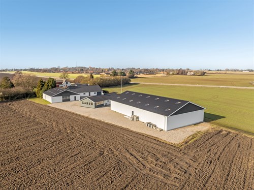 estate