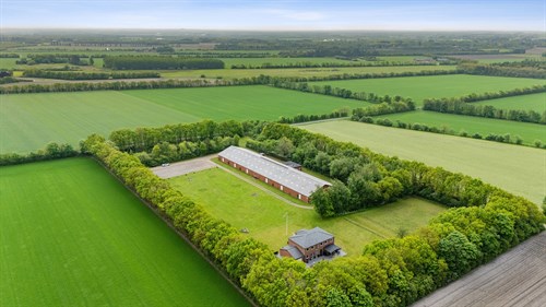 estate