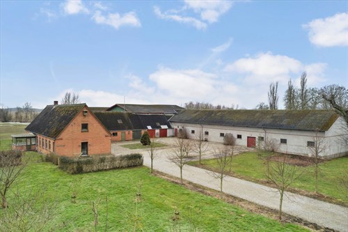 estate