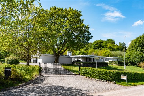estate