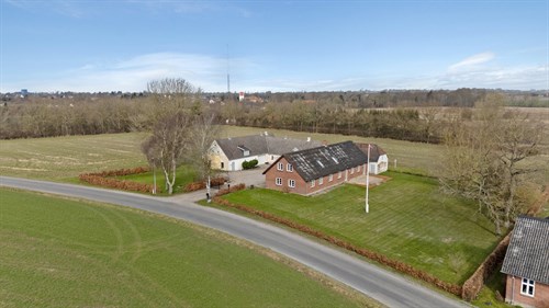 estate