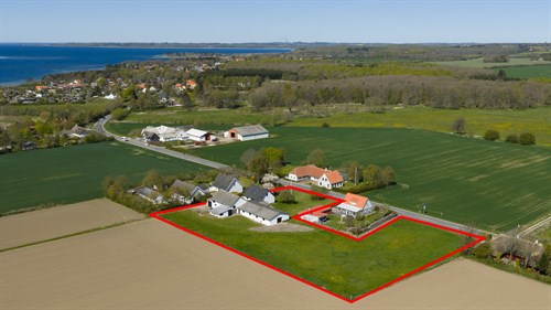 estate