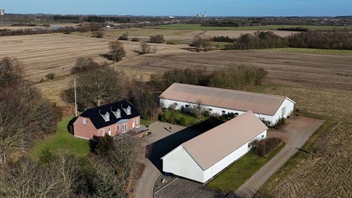estate