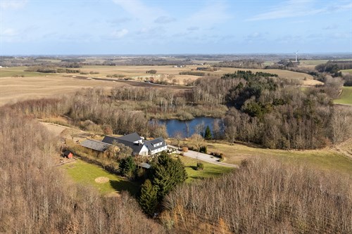 estate