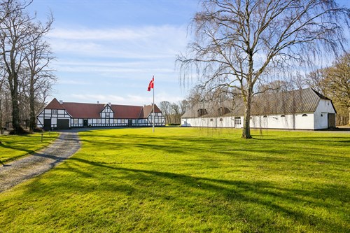 estate