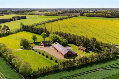 estate
