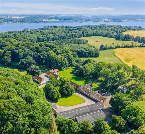 estate