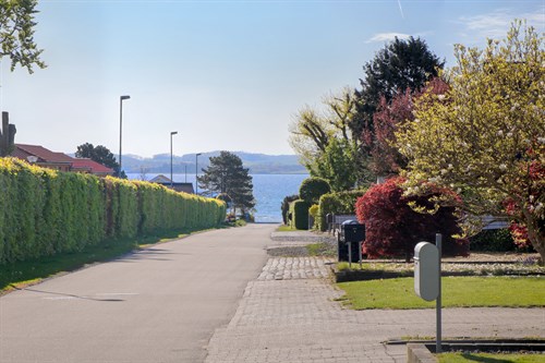 estate