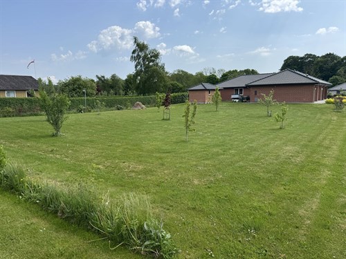 estate
