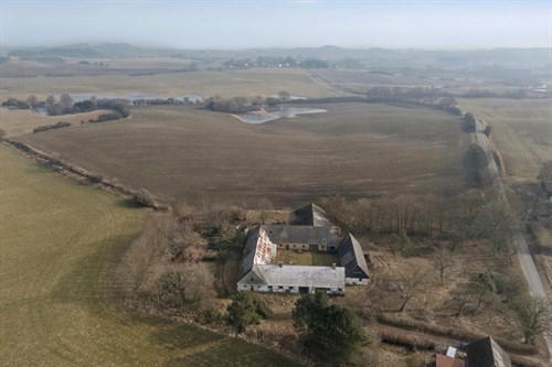 estate